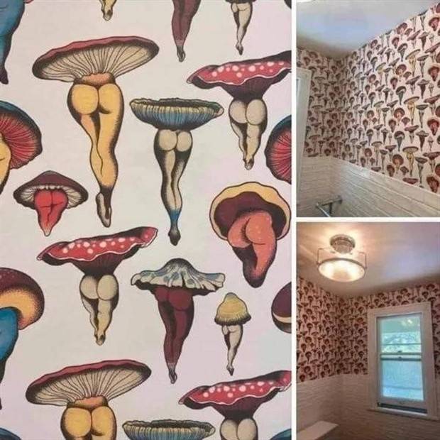 strange things 23 Strange Things Nobody Wants To Possess (25 photos)