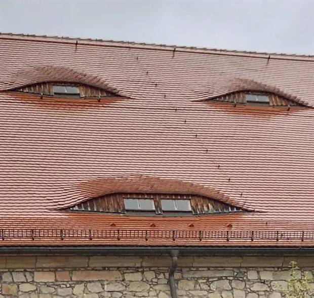 Funny and Unusual House Roof Designs (17 photos)
