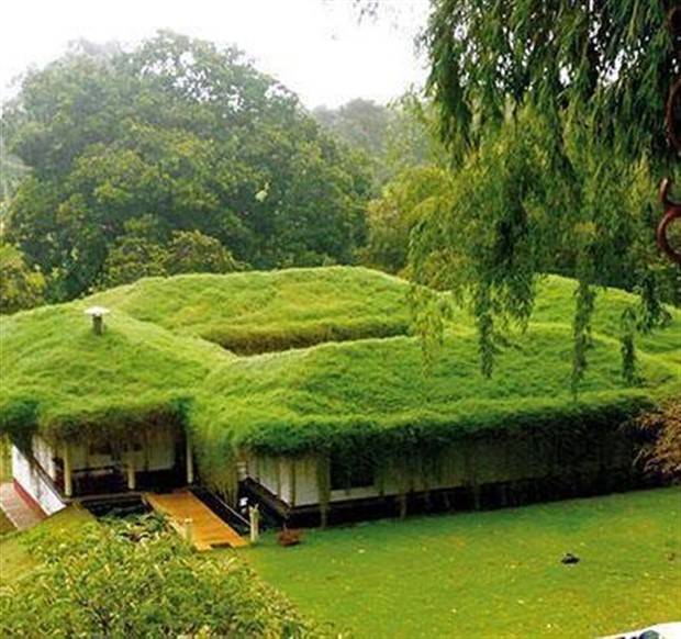 Funny and Unusual House Roof Designs (17 photos)