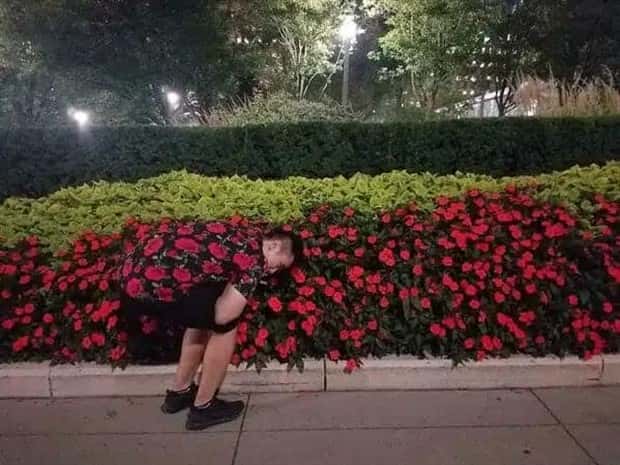 41 Moments Showcasing Accidental Camouflage (41 photos)