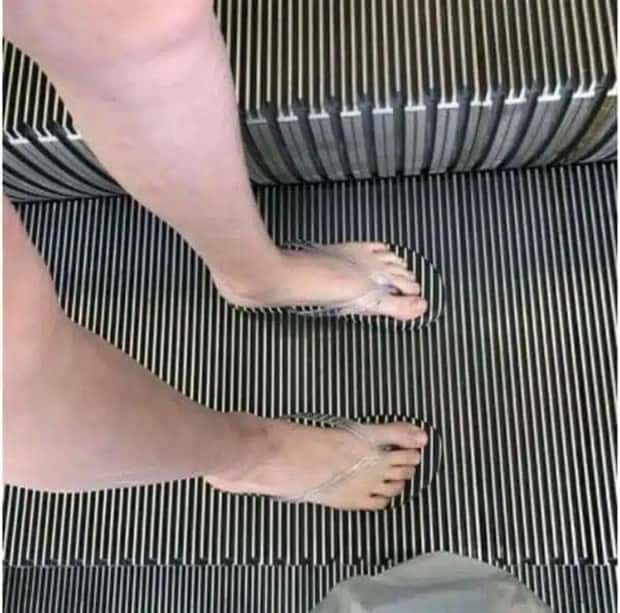 41 Moments Showcasing Accidental Camouflage (41 photos)