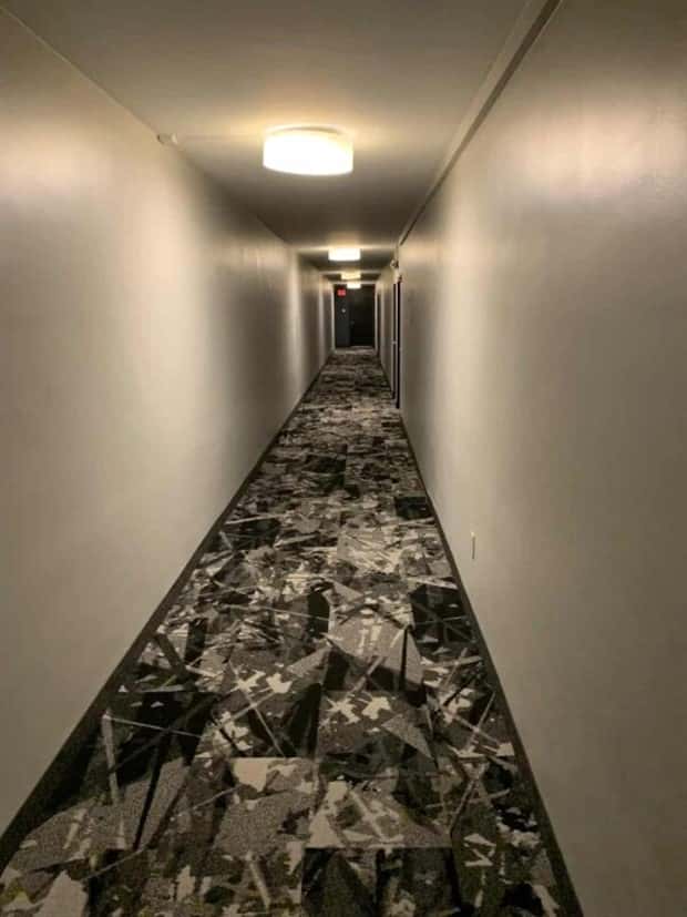 41 Moments Showcasing Accidental Camouflage (41 photos)