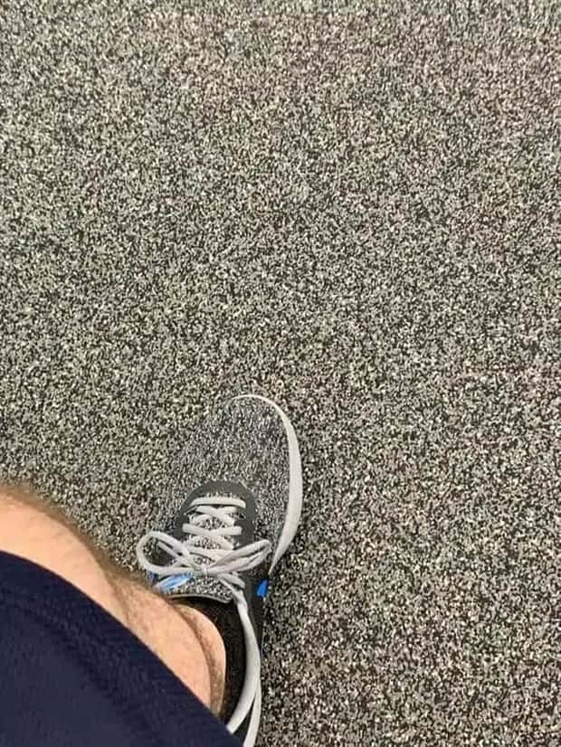 41 Moments Showcasing Accidental Camouflage (41 photos)