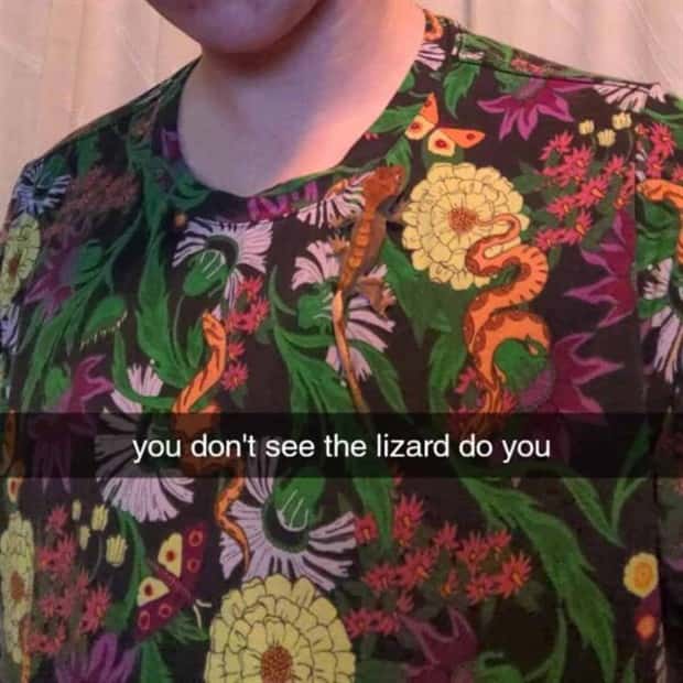 41 Moments Showcasing Accidental Camouflage (41 photos)