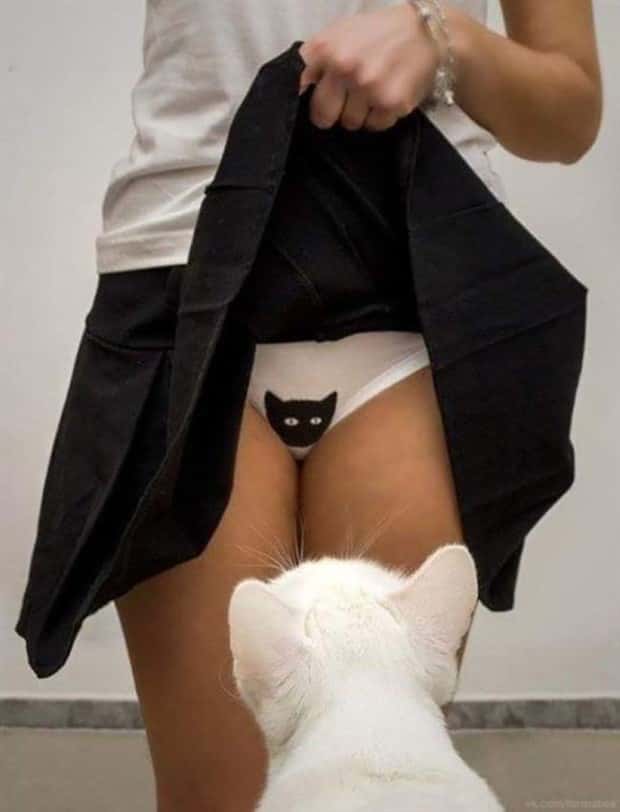 A Little Fun for Adults #346 (30 photos)