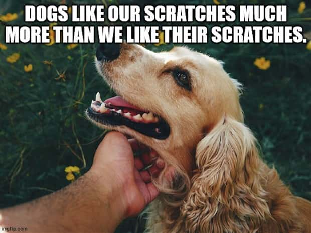 Funny Shower Thoughts #100 (25 photos)