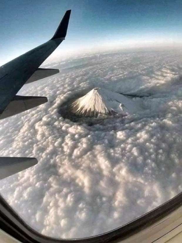 Awesome Pictures You Shouldn’t Miss #95 (26 photos)