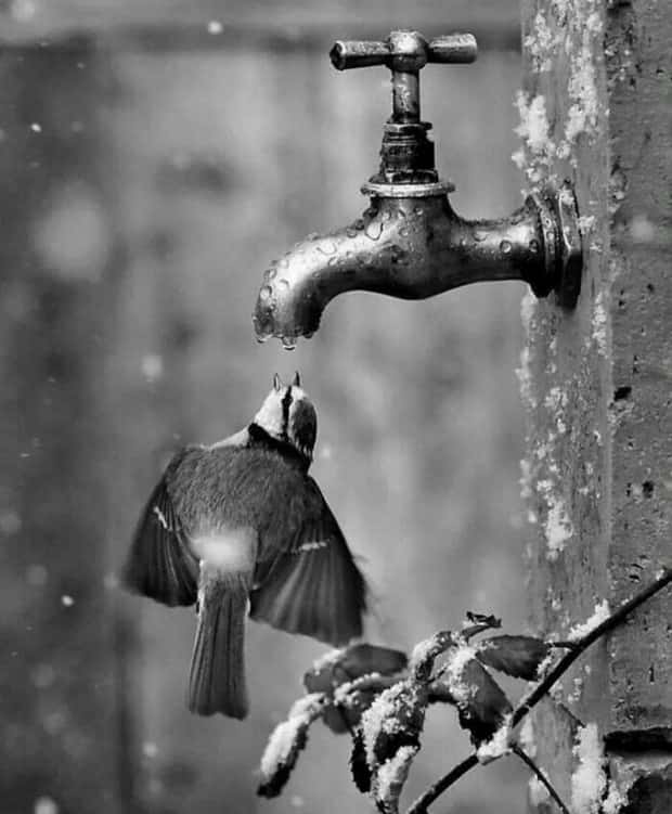 Awesome Pictures You Shouldn’t Miss #99 (31 photos)