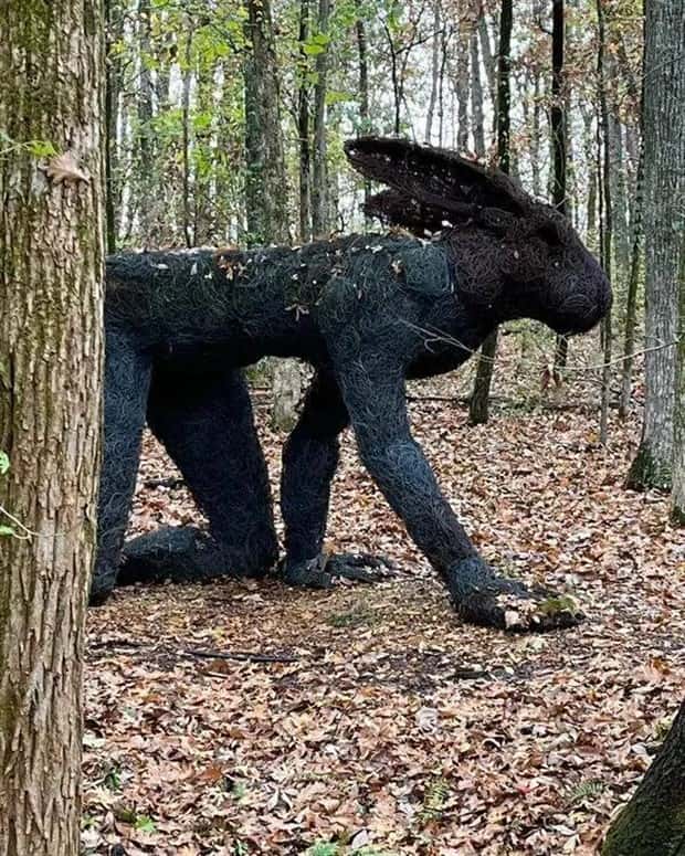 Just a Bunch of Random Creepy Photos #13 (35 photos)