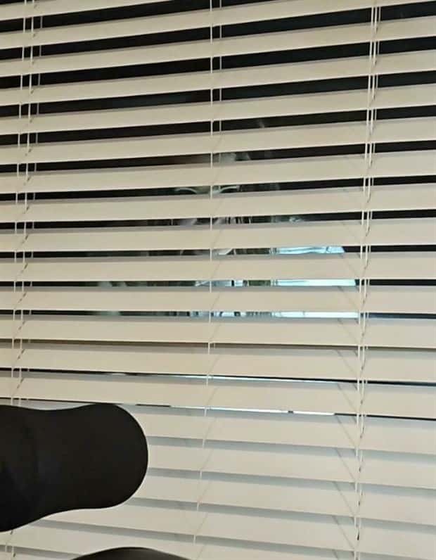 Just a Bunch of Random Creepy Photos #13 (35 photos)