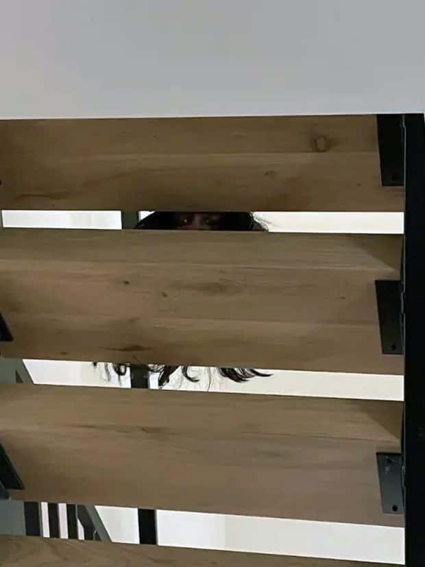 Just a Bunch of Random Creepy Photos #13 (35 photos)