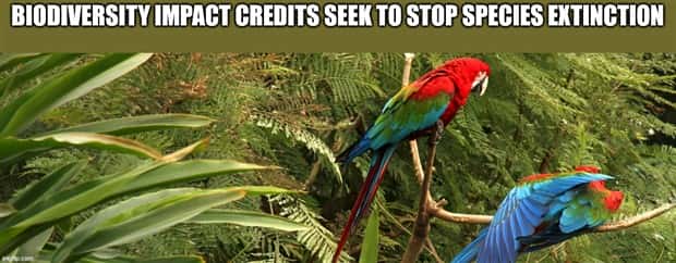 It’s Time for Some Cool and Interesting Facts #375 (29 photos)