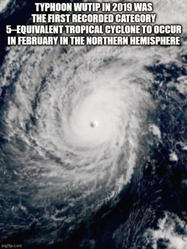 It’s Time for Some Cool and Interesting Facts #375 (29 photos)