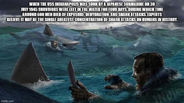 It’s Time for Some Cool and Interesting Facts #375 (29 photos)