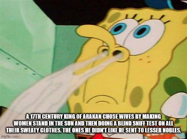 It’s Time for Some Cool and Interesting Facts #375 (29 photos)