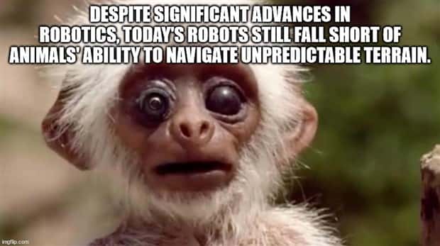 It’s Time for Some Cool and Interesting Facts #375 (29 photos)