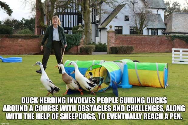 It’s Time for Some Cool and Interesting Facts #375 (29 photos)