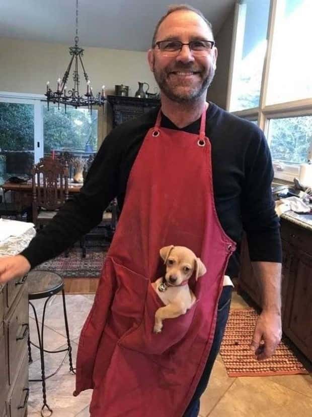 Get Ready for Funny Animals #330 (27 photos)