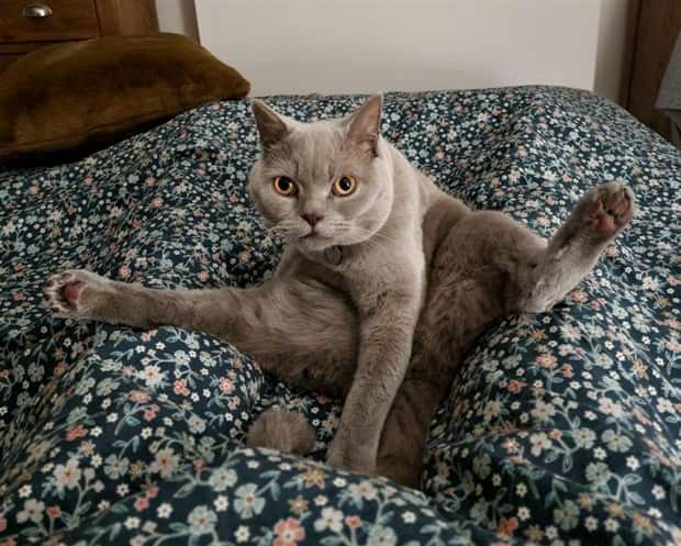 Get Ready for Funny Animals #328 (31 photos)