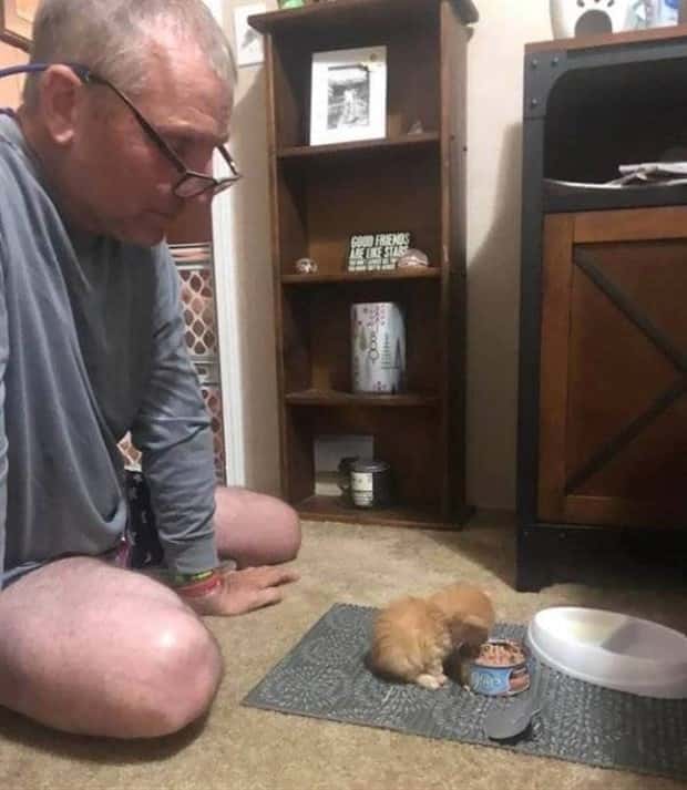 Get Ready for Funny Animals #330 (27 photos)