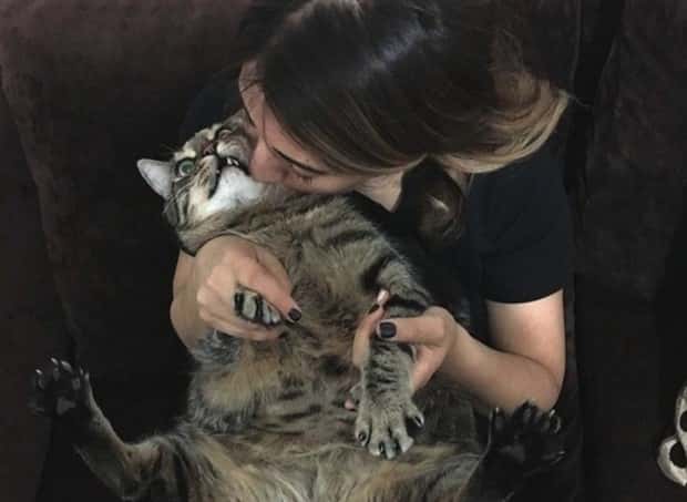 Get Ready for Funny Animals #328 (31 photos)