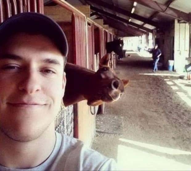 Get Ready for Funny Animals #330 (27 photos)