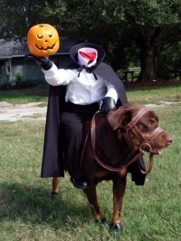 Welcome to Hilariously Strange Cosplay Universe (33 photos)