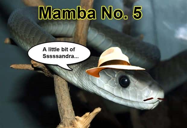 Funny Pics and Memes to Make You Laugh #100 (31 photos)