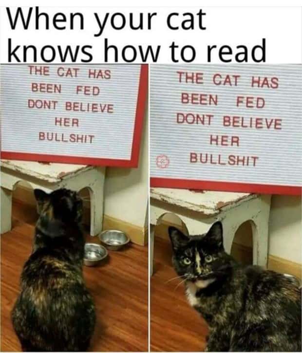 Funny Pics and Memes to Make You Laugh #100 (31 photos)