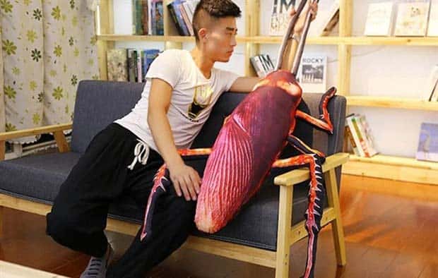 giant anti stress cockroaches 4 Stress Busting Giant Cockroaches (7 photos)