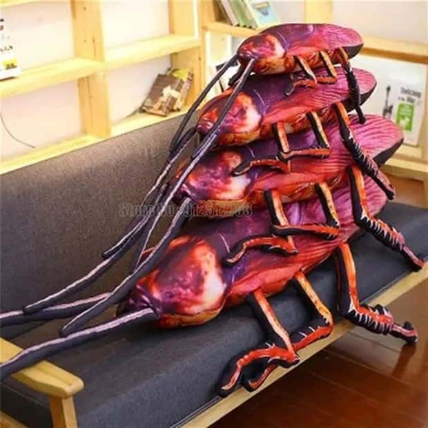 giant anti stress cockroaches 5 Stress Busting Giant Cockroaches (7 photos)