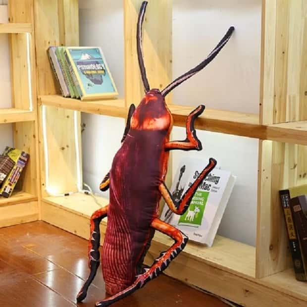 giant anti stress cockroaches 6 Stress Busting Giant Cockroaches (7 photos)
