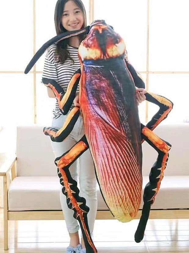 giant anti stress cockroaches 7 Stress Busting Giant Cockroaches (7 photos)