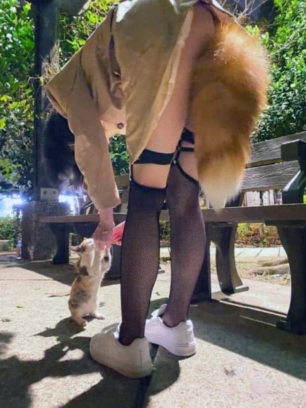 A Little Fun for Adults #347 (27 photos)