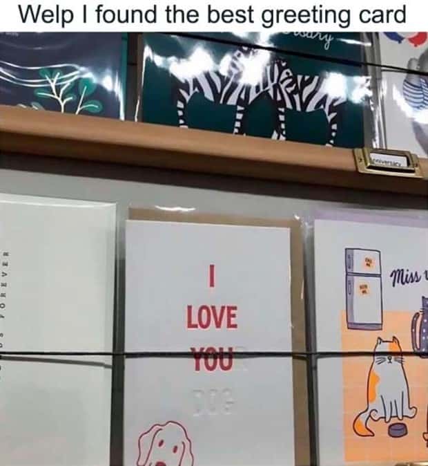 Incredible Designs That Capture Attention (25 photos)