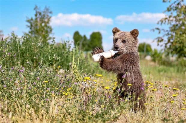 Klyker Picdump #1453 (53 photos)