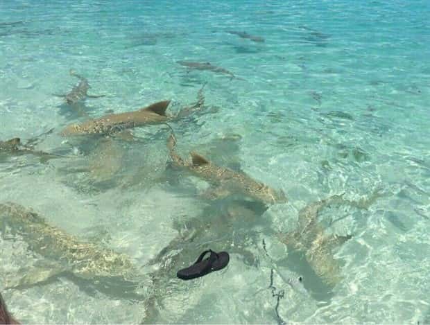 Klyker Picdump #1453 (53 photos)