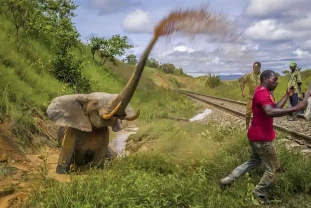 Klyker Picdump #1453 (53 photos)