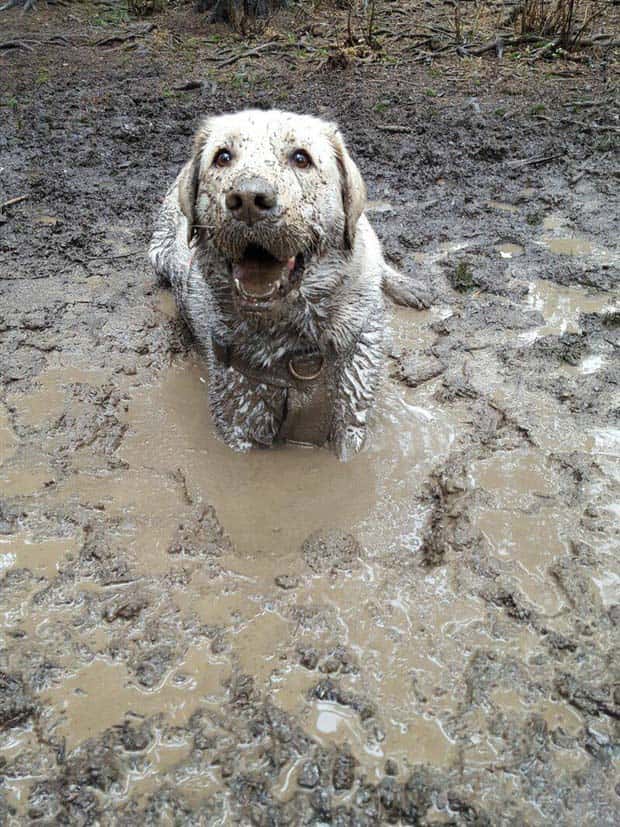 Klyker Picdump #1453 (53 photos)