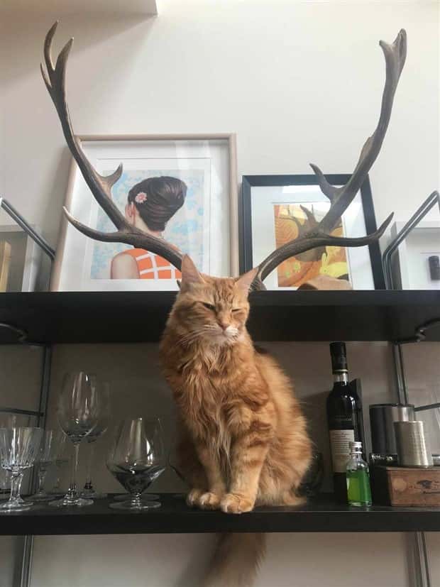 Klyker Picdump #1453 (53 photos)