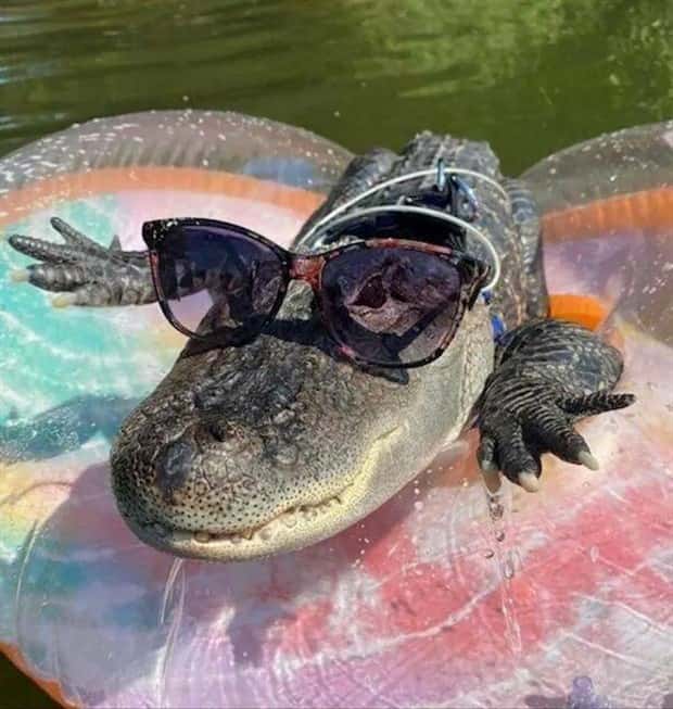 Klyker Picdump #1453 (53 photos)