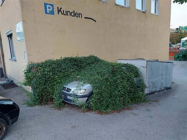 Klyker Picdump #1453 (53 photos)