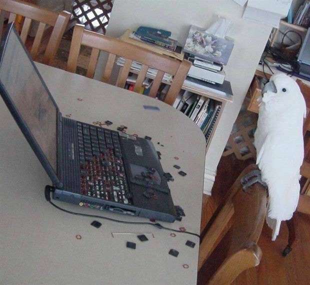 Klyker Picdump #1432 (52 photos)