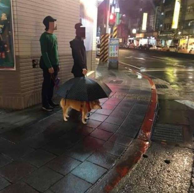 Klyker Picdump #1432 (52 photos)