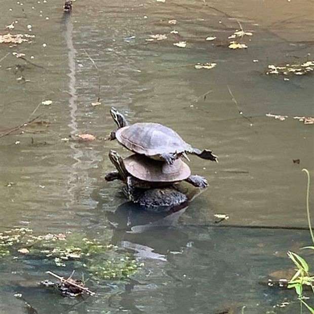 Klyker Picdump #1432 (52 photos)