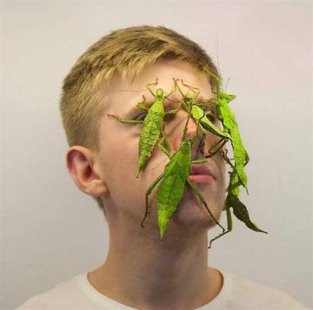 Klyker Picdump #1432 (52 photos)