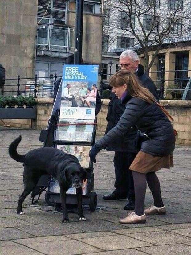 Klyker Picdump #1432 (52 photos)