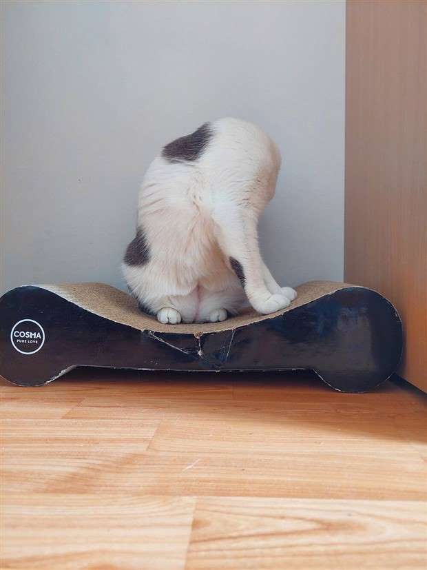 Klyker Picdump #1432 (52 photos)