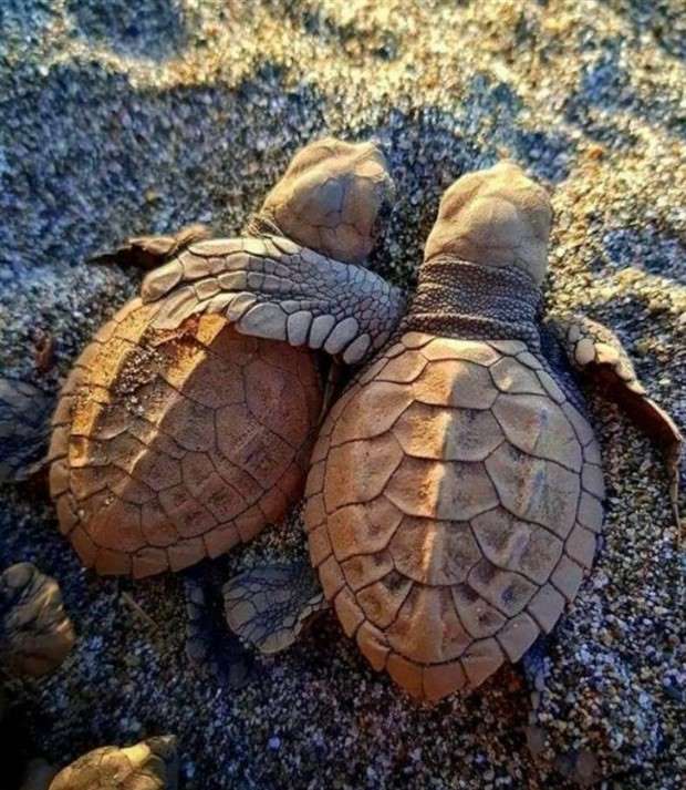 Klyker Picdump #1432 (52 photos)