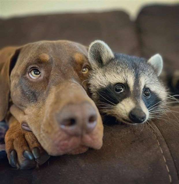 Klyker Picdump #1432 (52 photos)